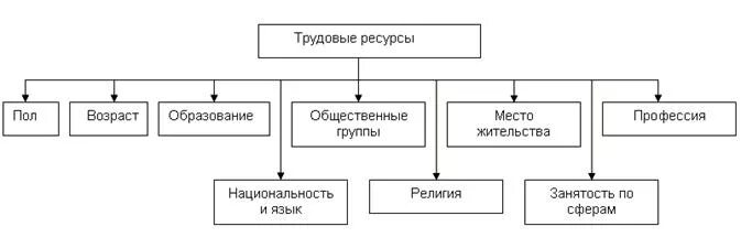 Тип трудовых ресурсов. Состав и структура трудовых ресурсов организации схема. трудовые ресурсы структура. трудовые ресурсы схема. структура банка каспи.