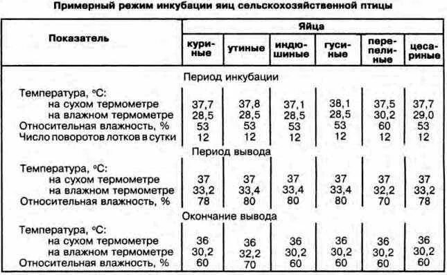 Температура внутри инкубатора. Периоды инкубации куриных яиц таблица. Период инкубации цесариных яиц таблица. Температурный режим в инкубаторе для куриных яиц таблица. Таблица температуры и влажности для инкубатора цыплят.