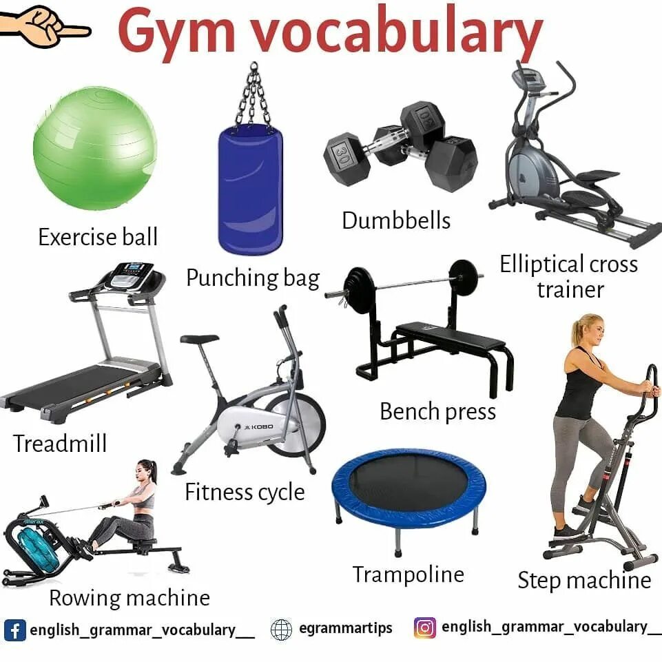 Sports exercises. Workout Vocabulary. Fitness Vocabulary in English. Workout Gym Vocabulary. Gym Vocabulary exercises.