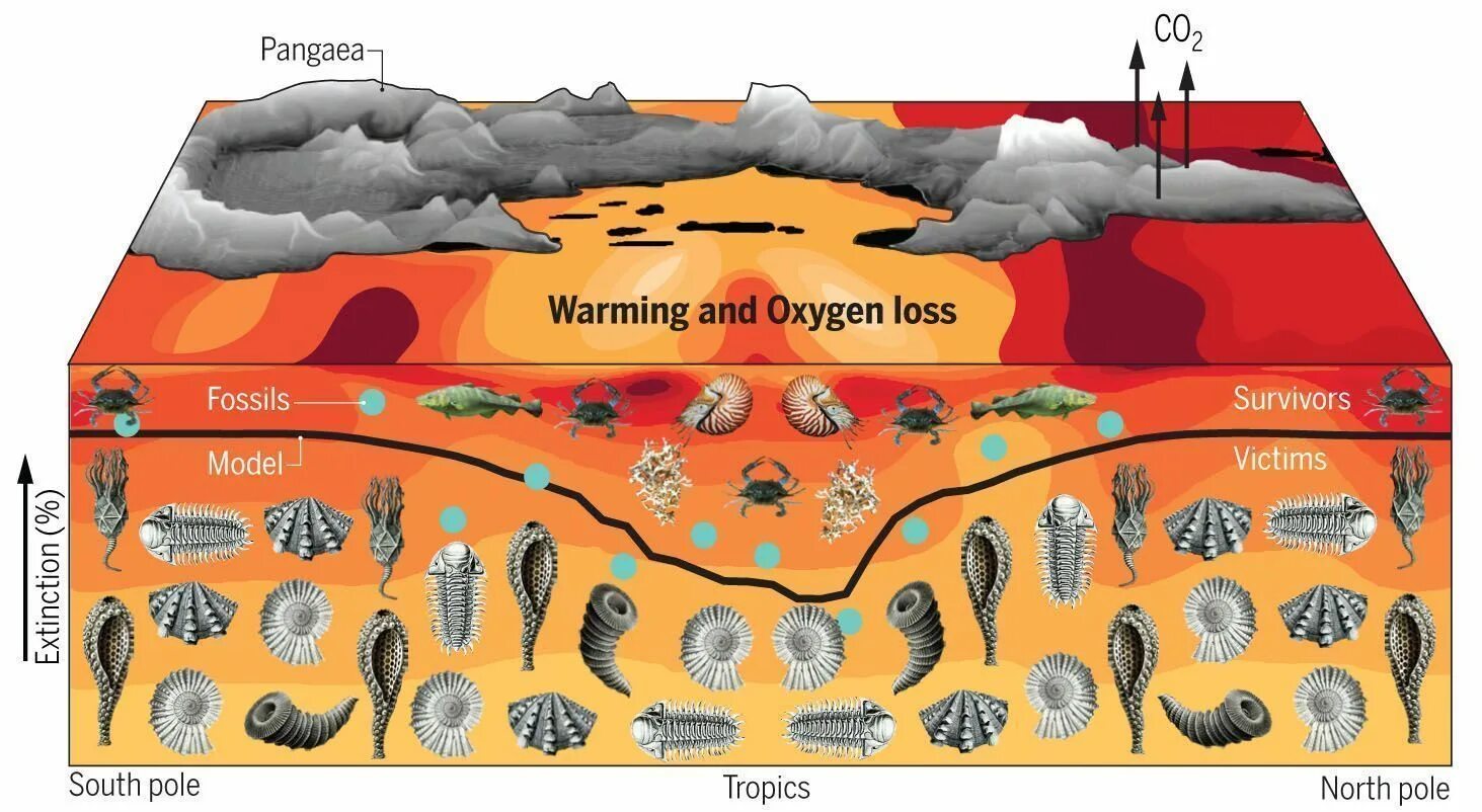 The great warming. Великое Пермское вымирание 250 млн лет. Массовое Пермское вымирание. Пермский период вымирание. Пермо триасовое вымирание.