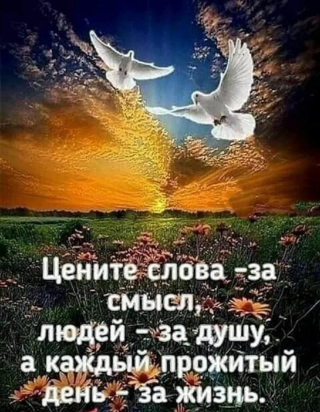 Цените утро. Цените жизнь цитаты. открытки со смыслом. добрые пожелания и высказывания. цените каждый день жизни.