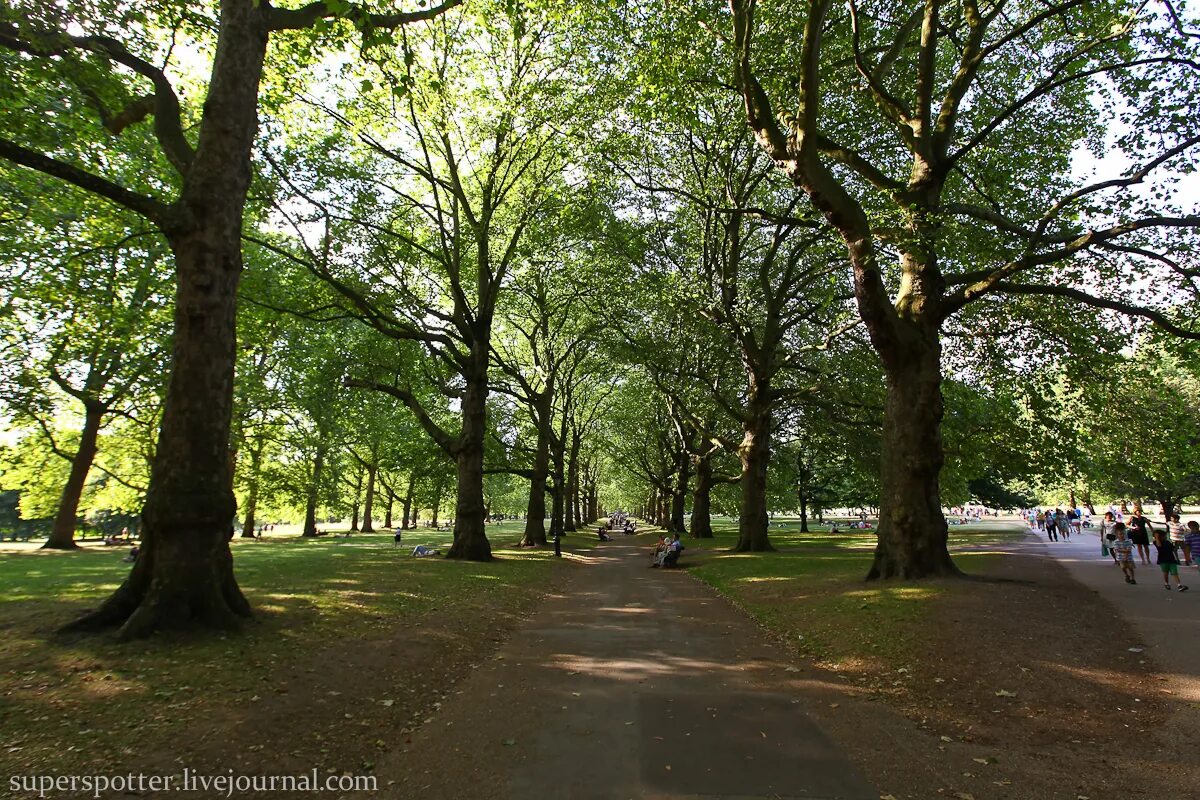 Грин парк Лондон. Грин парк Лондон территория. Green Park London сейчас. Green Park London 2022.
