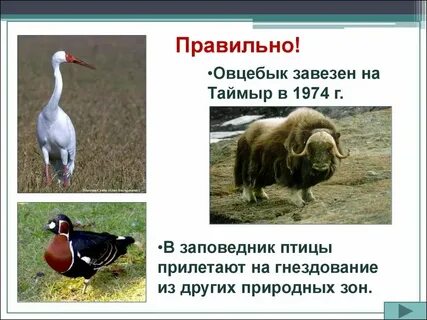 Какие заповедники находятся в природных зонах