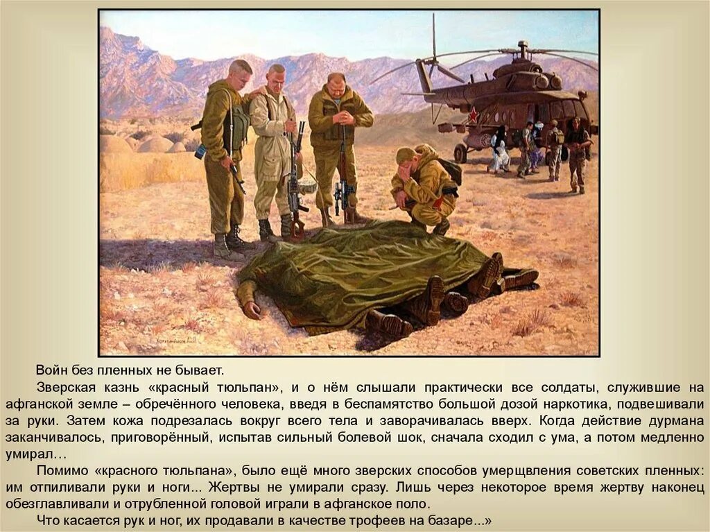 афган тюльпаны