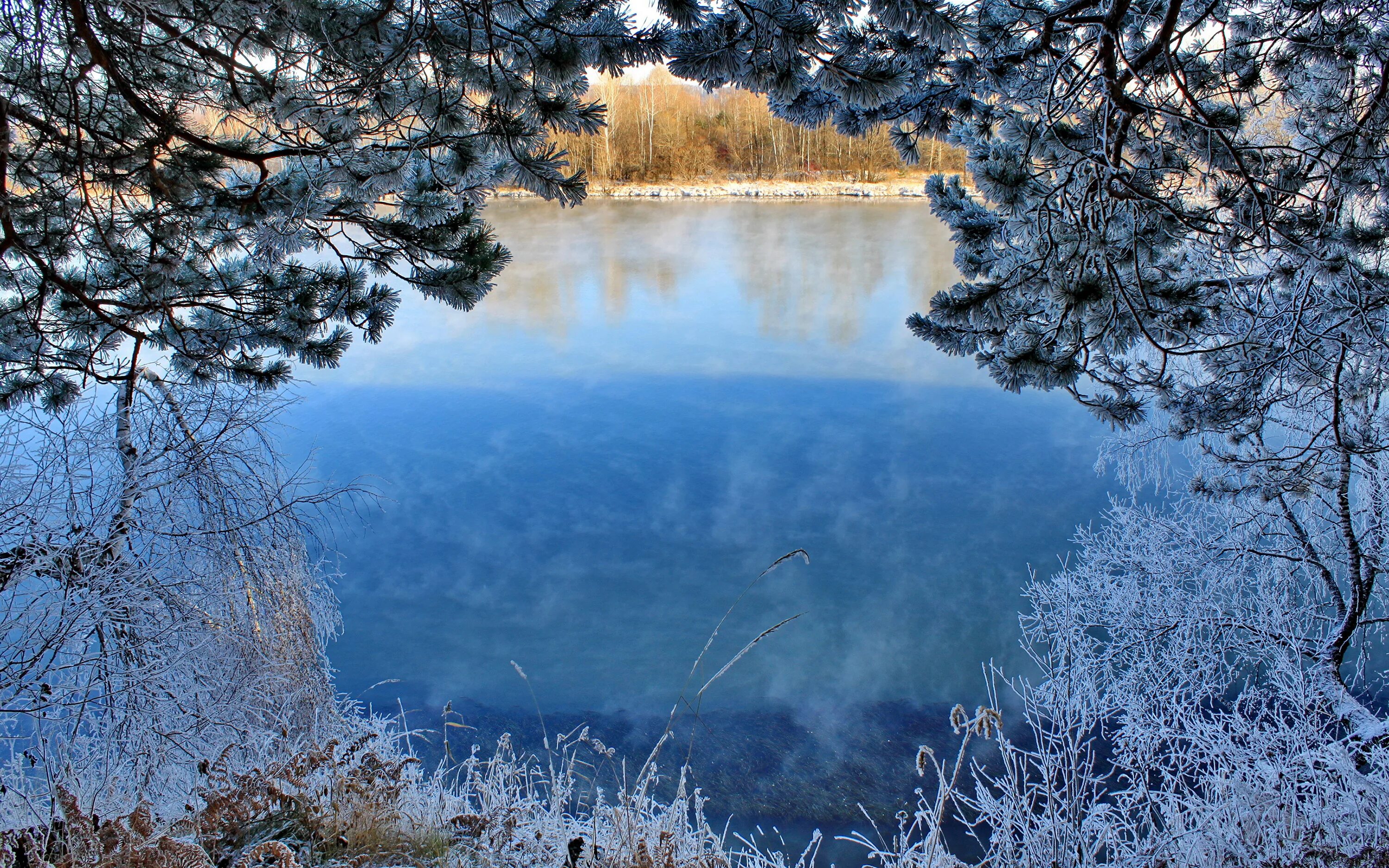 Водоем теплое