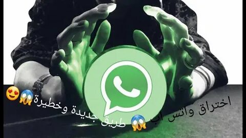 Whatsapp 16