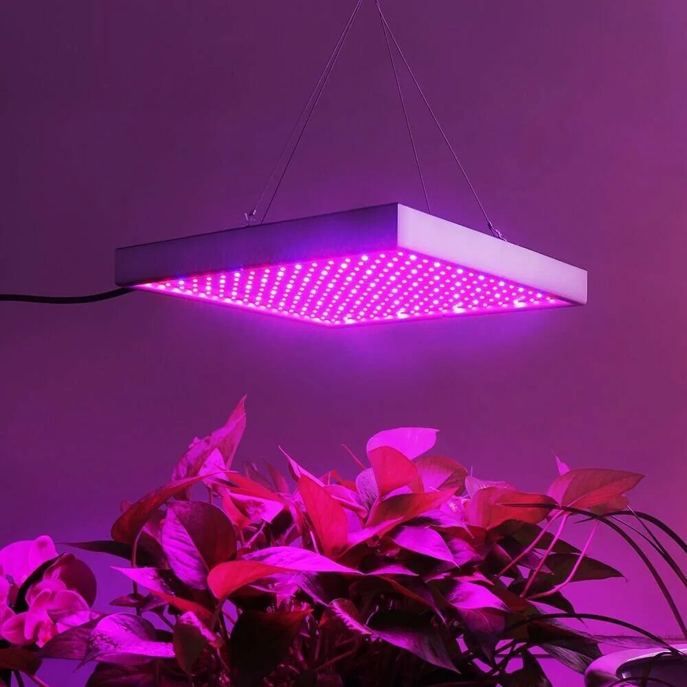 Освещение для растений. 1000w led grow Light лампа для растений. Фитолампа для растений 30w 500led. Led лампы для растений 600w. Лампа 120 ватт Full Spectrum.