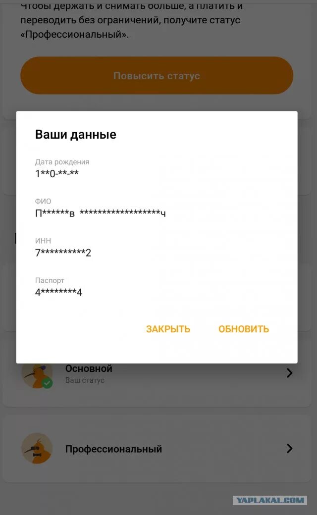 Как выглядит профессиональный статус qiwi