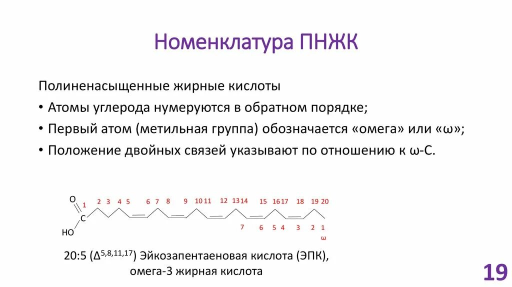 Жирные кислоты их классификация и номенклатура. Классификация жирных кислот биохимия. Номенклатура жирных кислот биохимия. Номенклатура жирных ненасыщенных кислот. Источник 3 жирных кислот ответ на тест