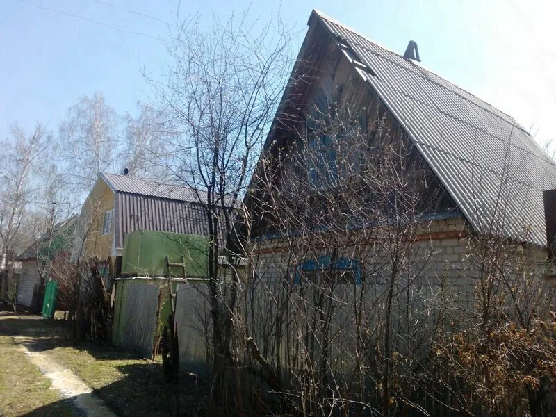 Снт янтарь екатеринбург. Снт янтарь калининград. Снт янтарь. Деревня волосово. Сад янтарь челябинск.