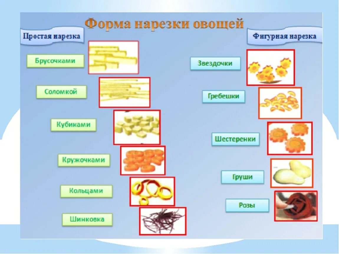 Обработка овощей блюда из овощей. Схема первичной обработки овощей. Формы нарезки овощей 5 класс технология. Обработка и нарезка овощей. Простые способы нарезки овощей.