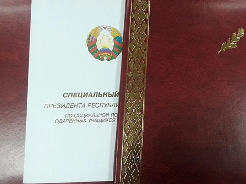 Грант главы республики башкортостан логотип. Фонды помощи беларуси. Фонды помощи беларуси. Поддержка талантливой молодежи рб. Фонды помощи беларуси.