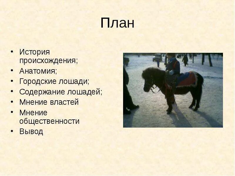 Деревянный конь план пересказа. Shaving horse plans. Проект конюшни на 6 голов. Деревянная лошадка качалка чертеж. План лошади.
