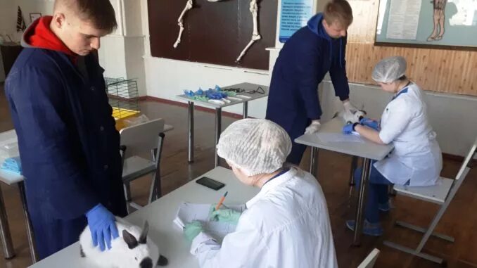 Ветеринария в колледж УРГАУ Екатеринбург. Аграрный колледж Ветеринария. Студенты ветеринары на практике.