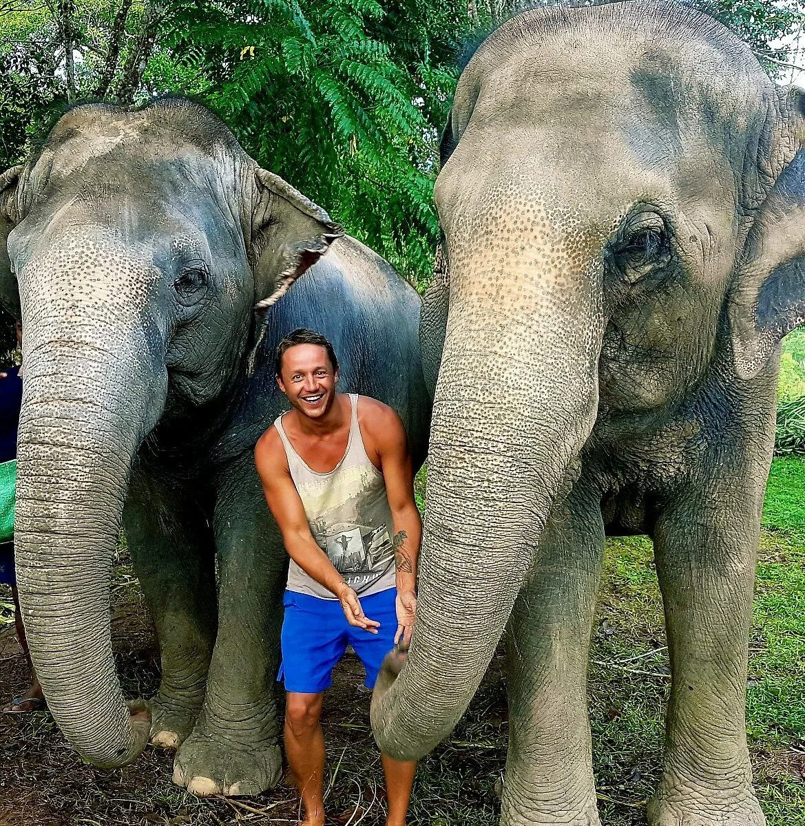 Elephant sanctuary park. Green Elephant Phuket. Elephant Sanctuary. Green Elephant Sanctuary. Green Elephant Sanctuary Park Phuket.