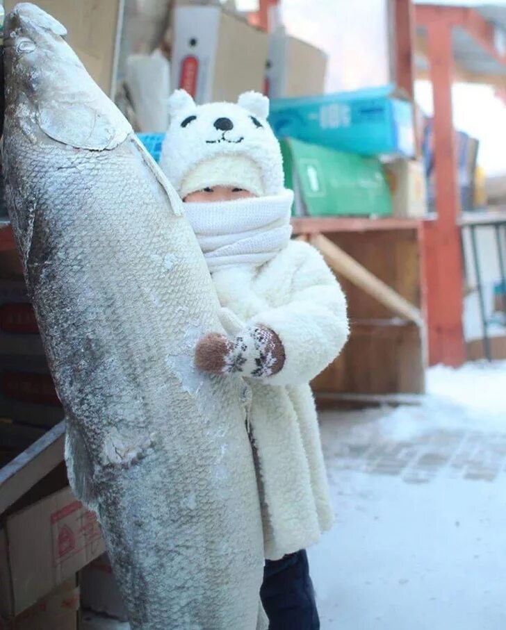 Якутия приколы. Чукчи и якуты. Якут прикол. Якут монгол киргиз. Якут прикол.