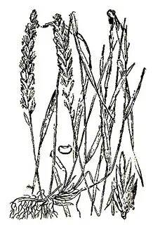 Рис 45