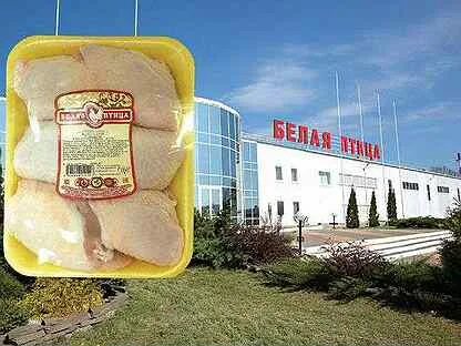 Птицефабрика белая