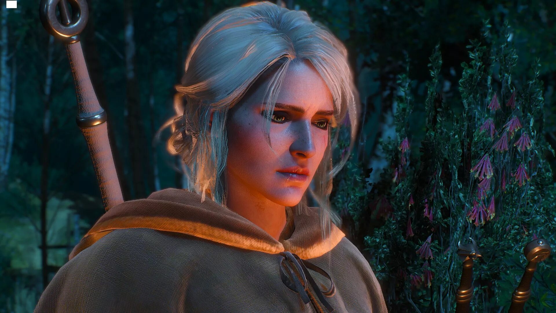 The witcher 3 цири. Цирилла фиона элен рианнон/цири. цирилла ведьмак 3. фиона элен рианнон. цири ведьмак 3.