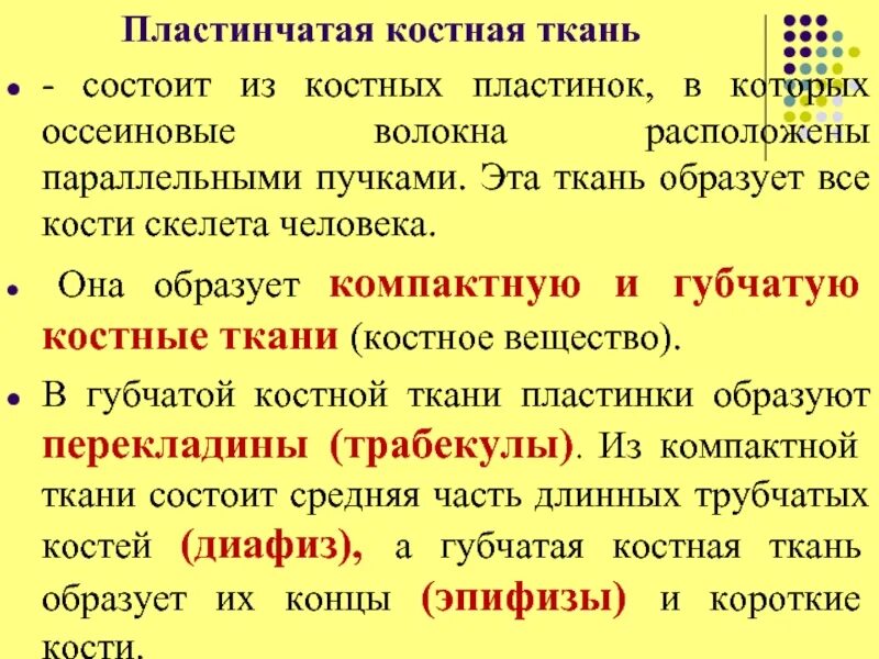 Остеология. Состав костной ткани. Строение и классификация костей