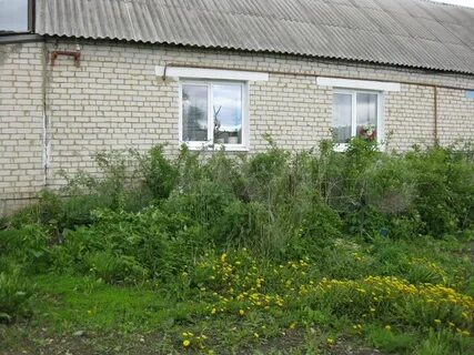 Липецк донское