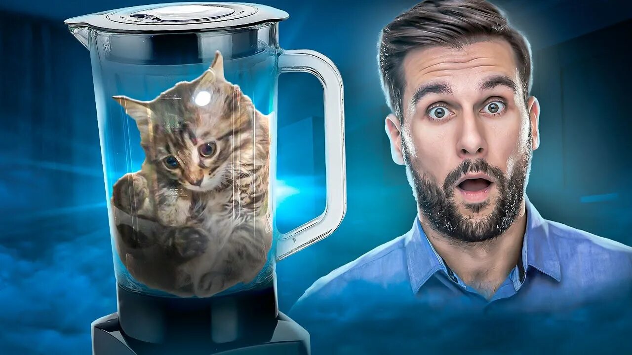 Cat blender video. Кот в блендере. Кот в блелендере. RJN D ,ktyyltht. Котенок в блендере.