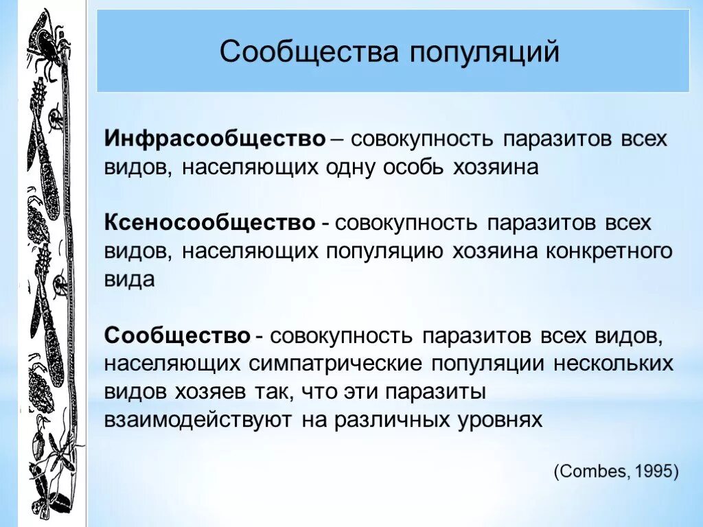 Сообщество популяция. Сообщества и популяции. Популяционные аспекты паразитизма. Лекция сообщества и популяция. Паразиты в популяции хозяина.