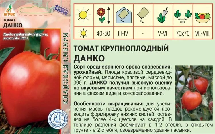 Томат сорт Данко. Семена томат Данко. Данко помидор помидор описание. Среднерослыюююютомат Данко.