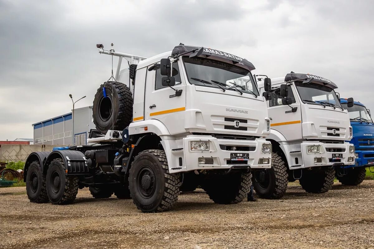 Шасси камаз 6 6. Камаз батыр 65225. камаз-65225 седельный тягач. камаз-65225 батыр седельный тягач. камаз 65225 риат.
