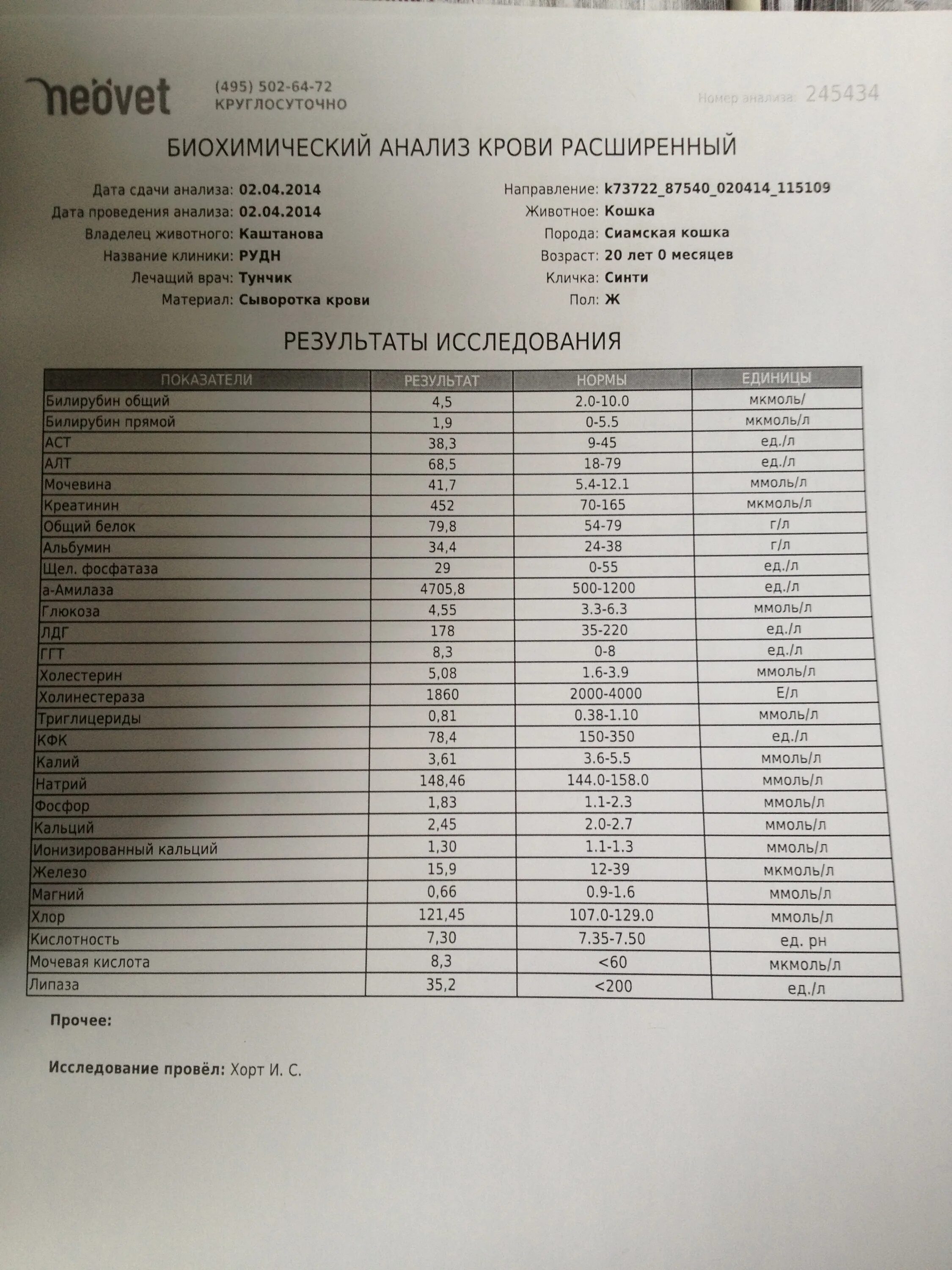Алт у котов. Кальций в биохимическом анализе. Биохимический анализ крови у кошек. Как обозначается кальций в анализе. ХПН У кошки анализ крови.