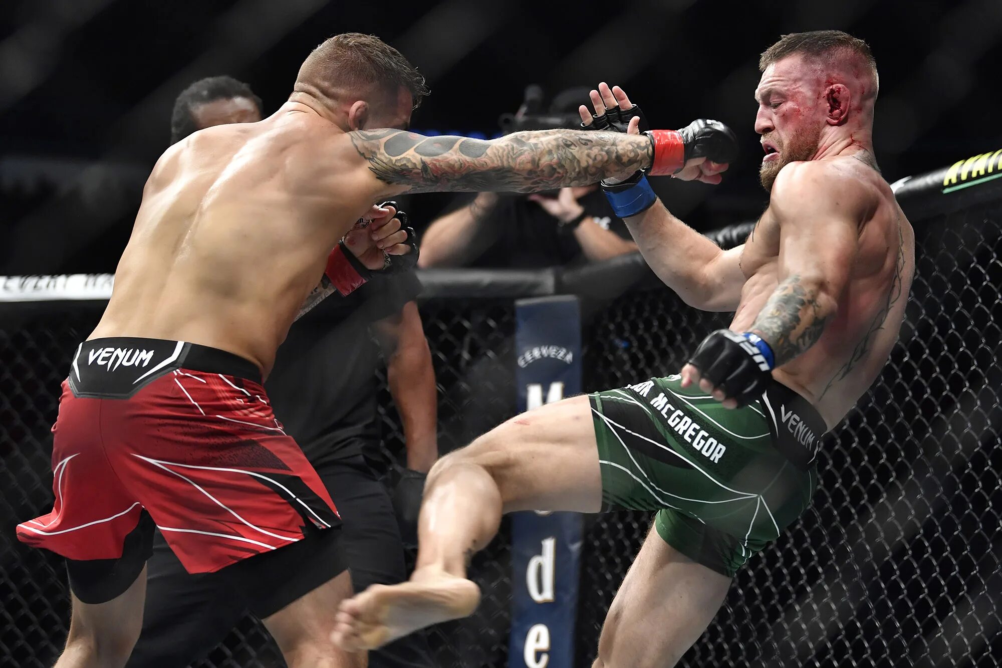 Смешанные единоборства ufc трансляция