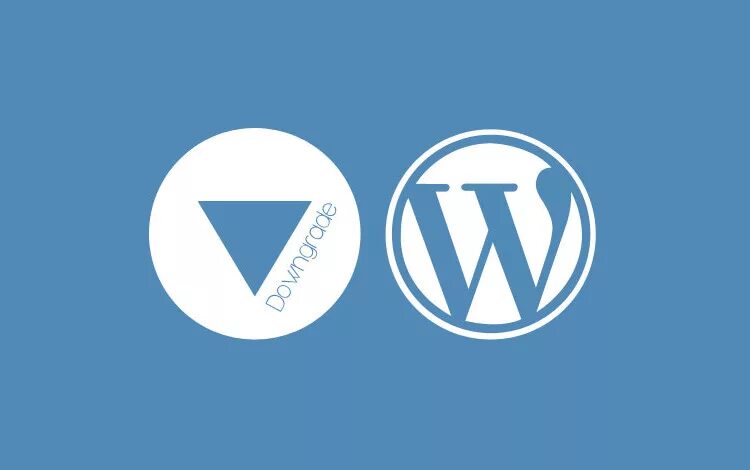 Wordpress version