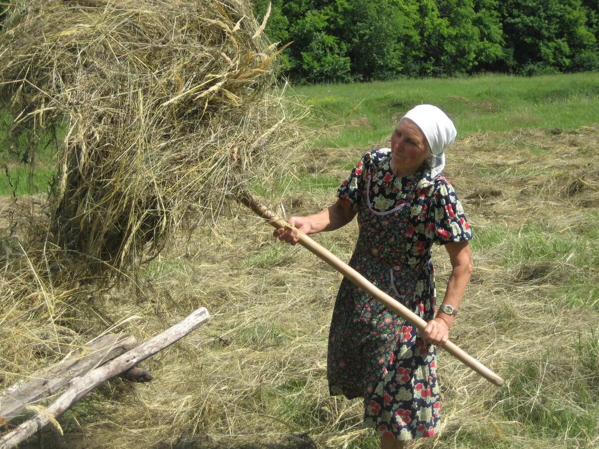 Баба на сенокосе. Люди на сенокосе. Сено косят. Женщина на покосе. Косить траву в деревне.