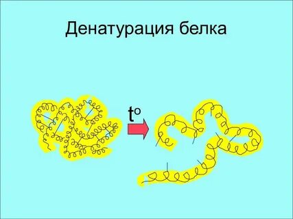 Переработка белка