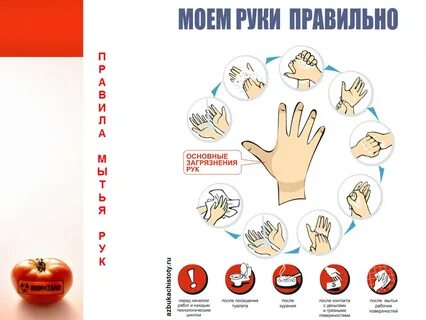 Хассп для пищевого