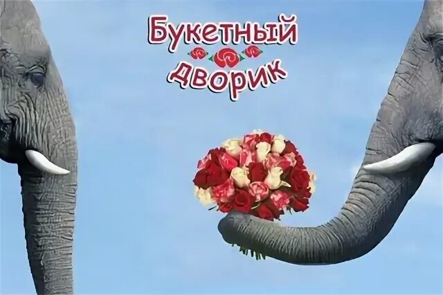 Букетный дворик горно алтайск