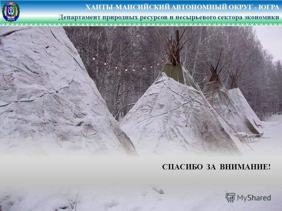экономика ханто мансиского овтвномного округа. посадка леса в иркутске 2016 год. департамент природных ресурсов хмао югры. департамент экономического развития хмао-югры. департамент природных ресурсов.