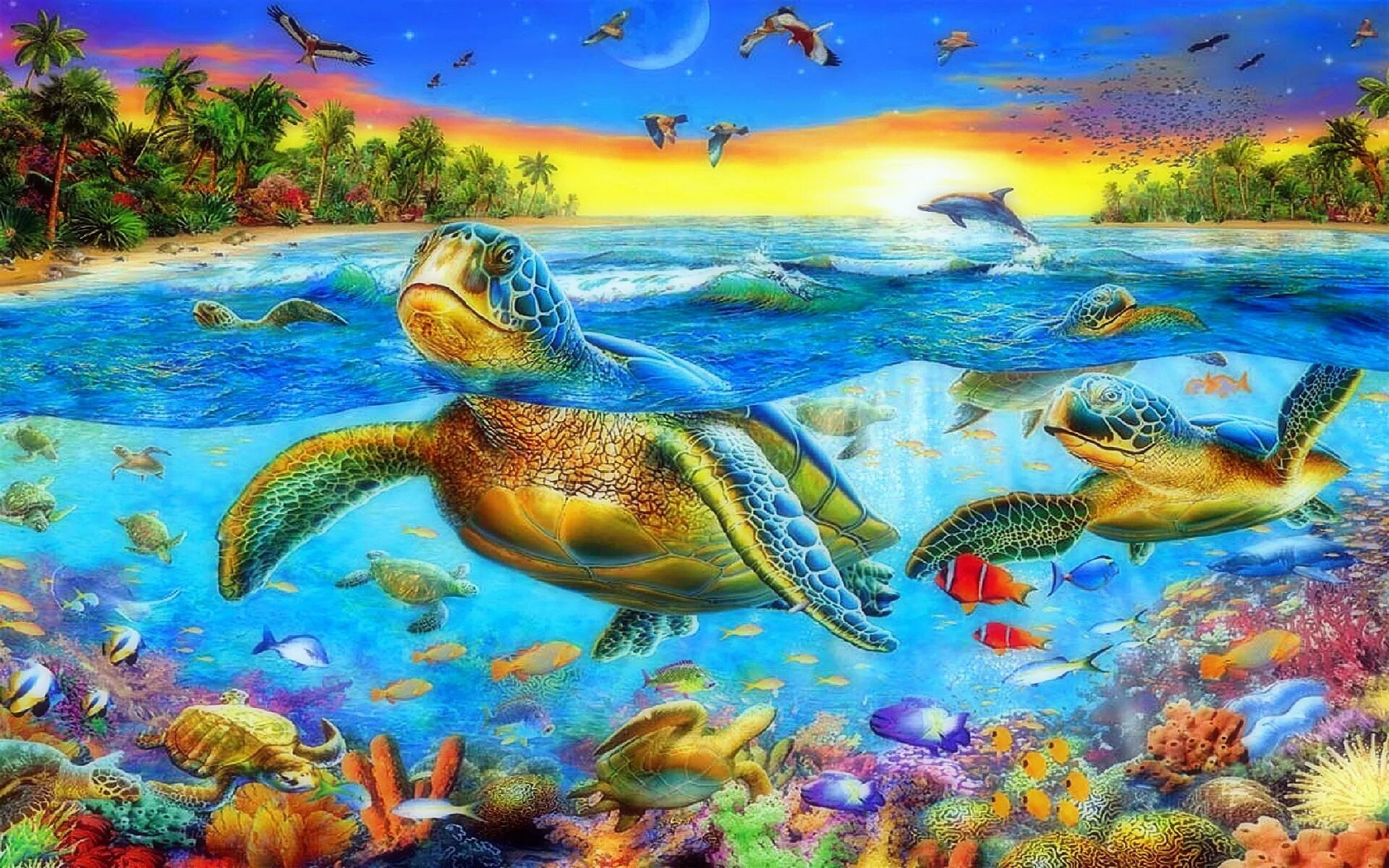 Возможность изображения картинки на экране холста turtle