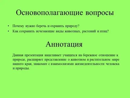 Зачем нужны животные в городе заметка