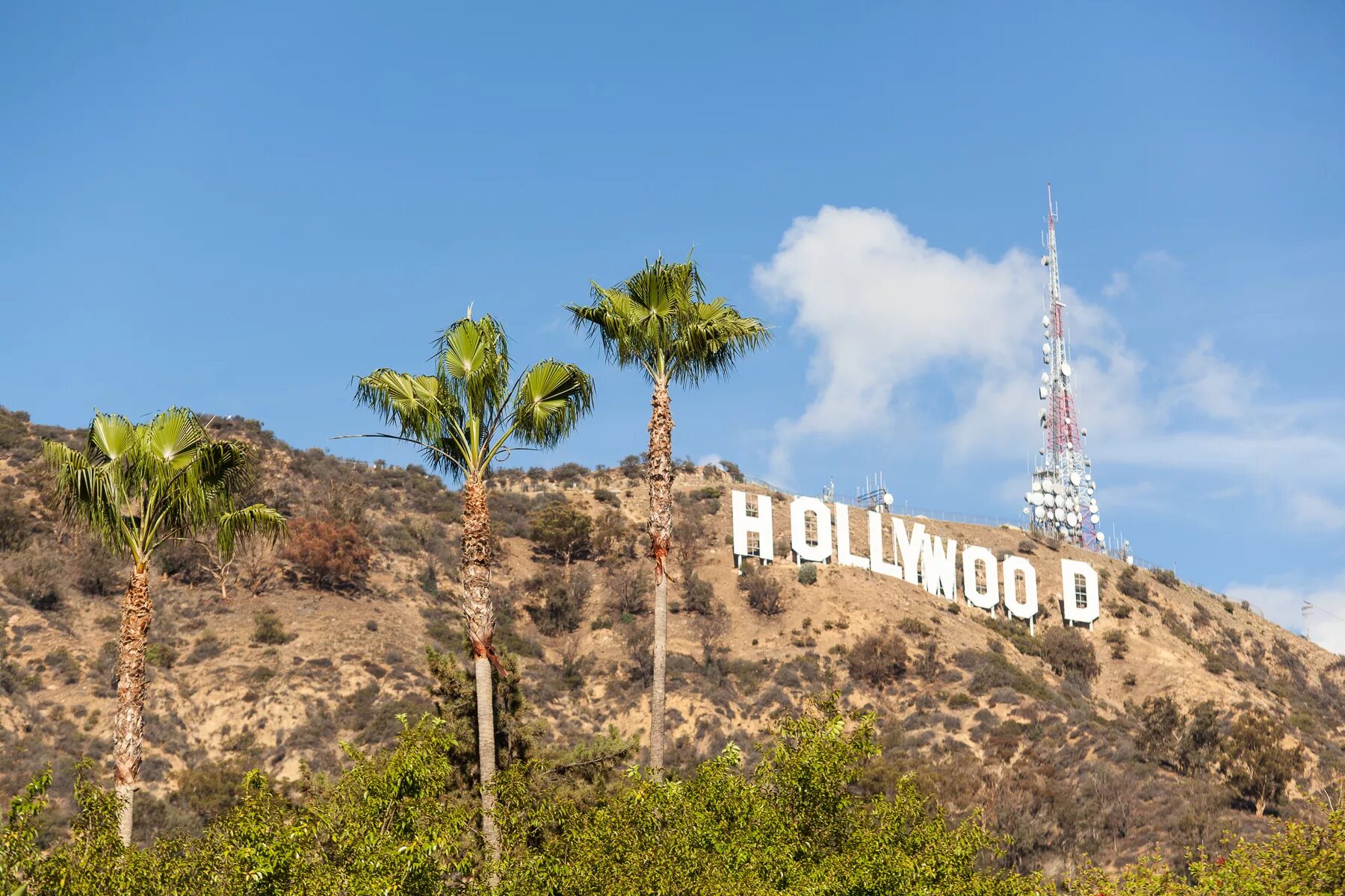 Hollywood. Лос-анджелес калифорния голливуд. Голливуд хаус фараон. Америка лос анджелес голливуд. Голливуд эстетика.