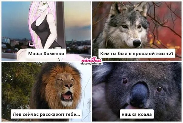 Главные испытания в жизни маши. Главные испытания в жизни маши