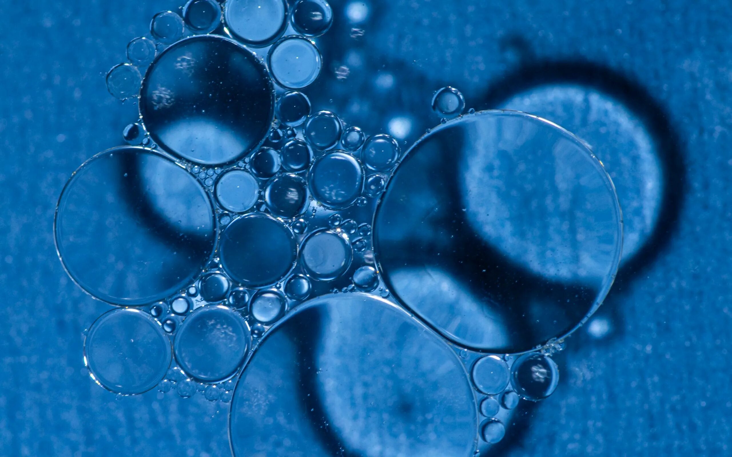 Почему в воде пузыри. Пузыри в воде. Обои на рабочий стол пузыри. Обои мыльные пузыри на стену. Голубые пузыри.