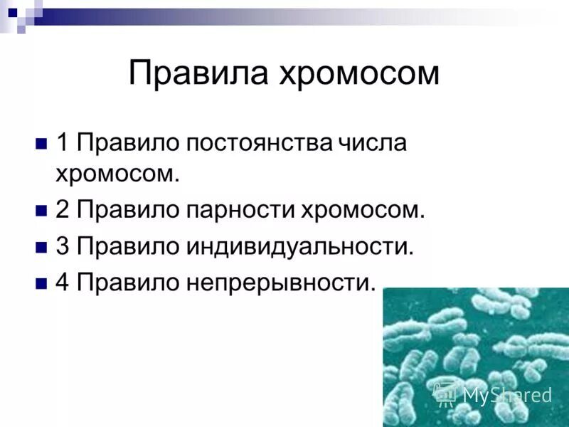 Структура и функции хромосом кратко. Функции хромосом кратко. Хромосомы строение и функции. Какие функции выполняет хромосома. Классификация и законы правила хромосом.