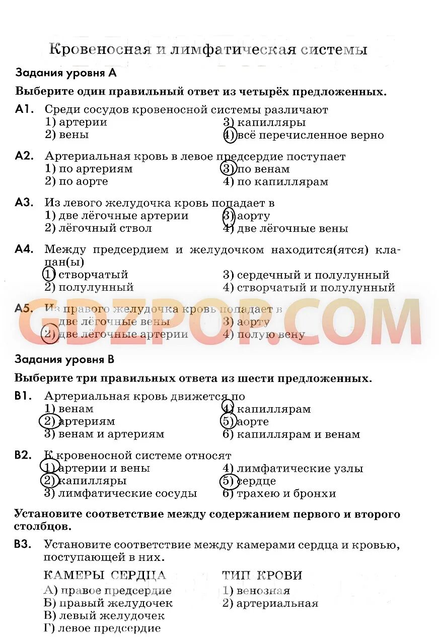 Ответ по биологии 8 класс колесова. Ответы по биологии 8 класс. Контрольная по биологии 8 класс кровеносная система. Контрольные работы по биологии 8 класс Колесов. Биология 8 класс Колесов тесты.