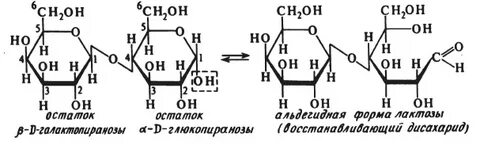 Форма мальтозы