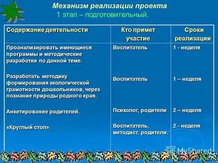Подготовительный этап проекта