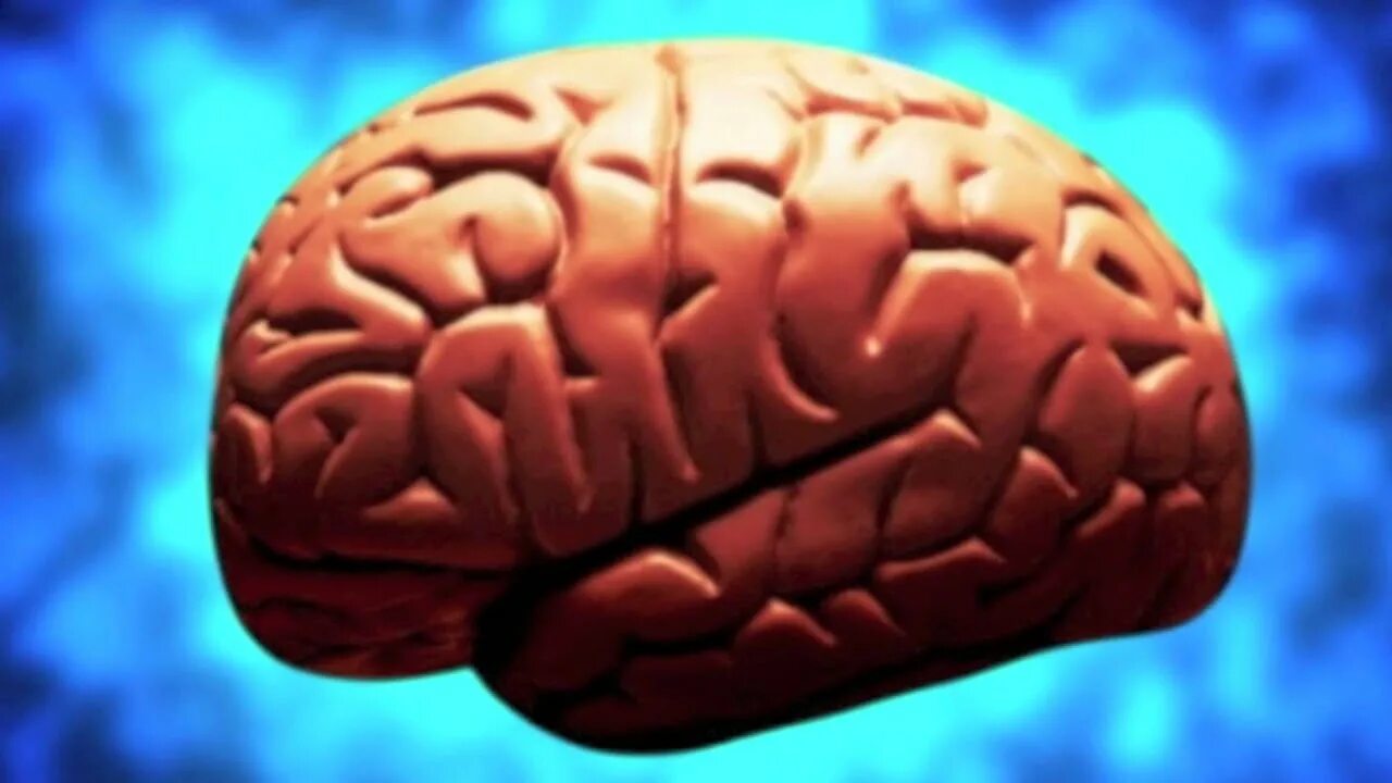 Brain start. Клавиатура и мозг. brilliant mind netflix. memory in brain. mind power mem.