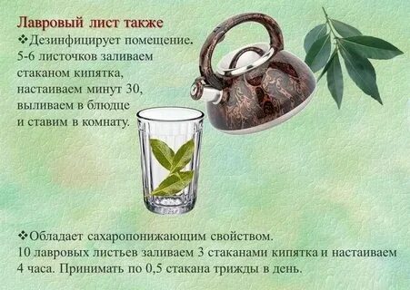 Как пить лавровый лист рецепт