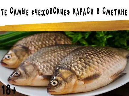 На руси все караси