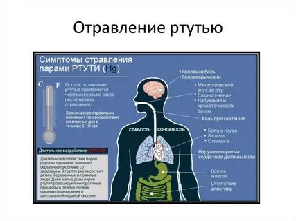 Нейтрализовать в организме